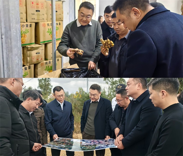 集团公司赴文山州调研小黄姜产业园项目
